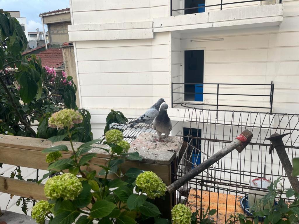Central Apartment Kadikoy Terrace Bbq Close 2 Block Ferry Bull Metro Nighlife Istanbul Exterior photo
